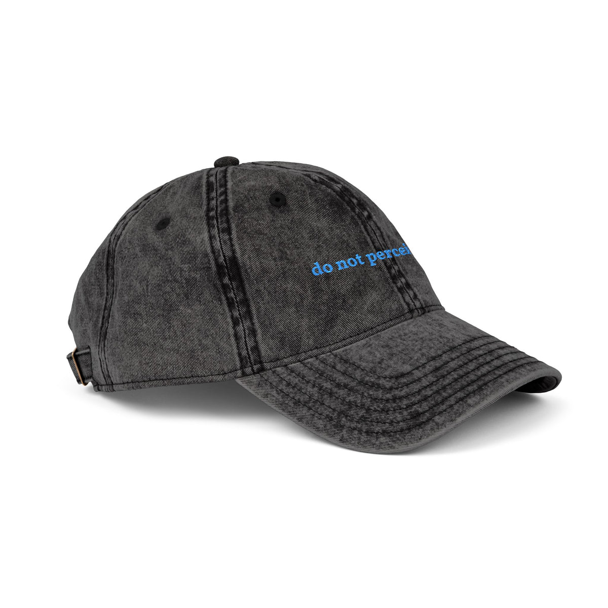 "do not perceive me" embroidered vintage washed dad hat, photo 2